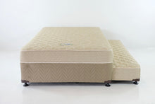 Load image into Gallery viewer, Salem Nite & Day Pull-out Bed