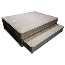 Load image into Gallery viewer, Salem Nite & Day Pull-out Bed