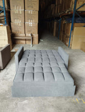 Load image into Gallery viewer, Lolita-505147 Sofa Bed
